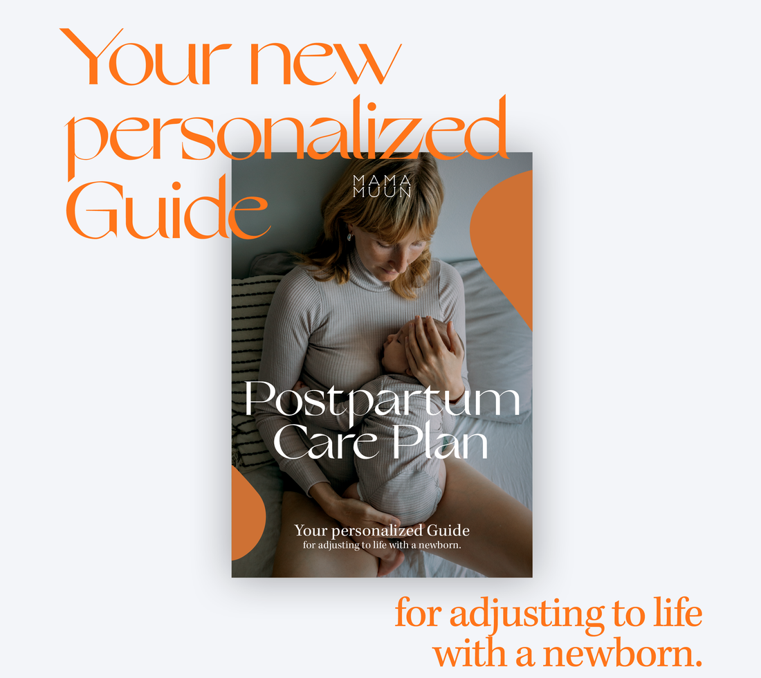 The Paperwork you didn't think you needed! The Postpartum Care Plan